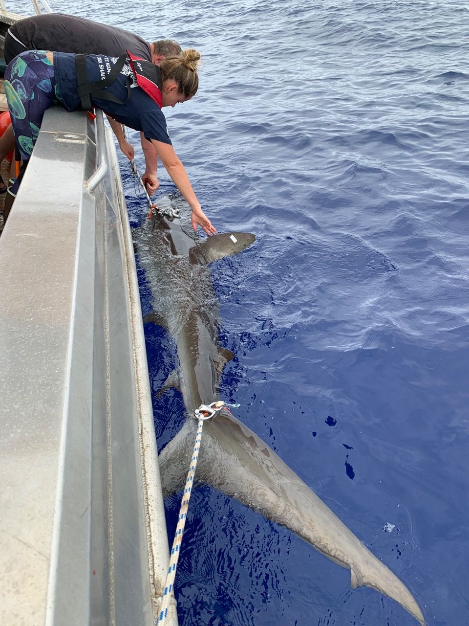 About the Youth Tees campaign on Bonfire 2