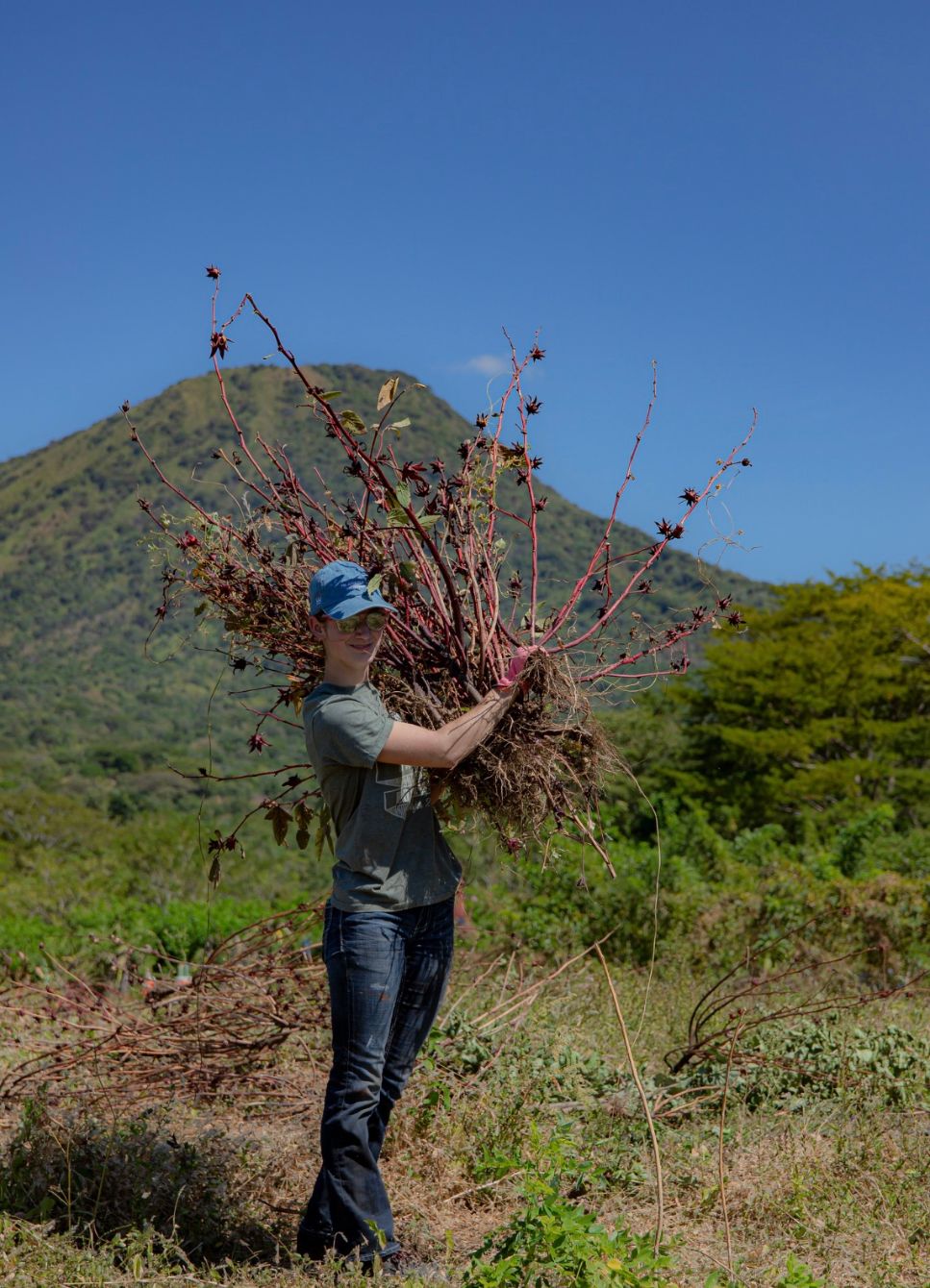 About the Go Movement campaign on Bonfire 2