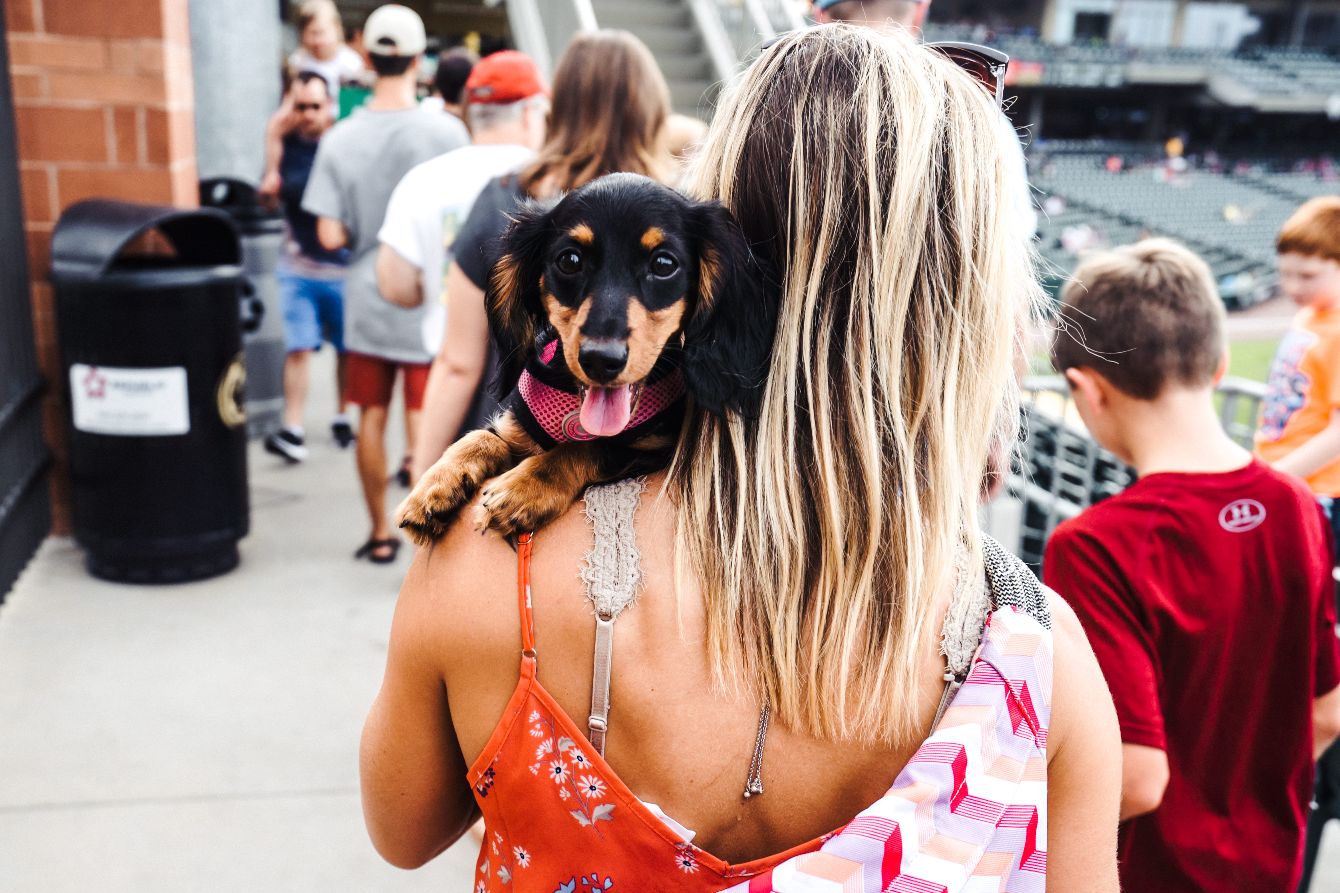 About the CLT Weenie Walk Swag! campaign on Bonfire 3