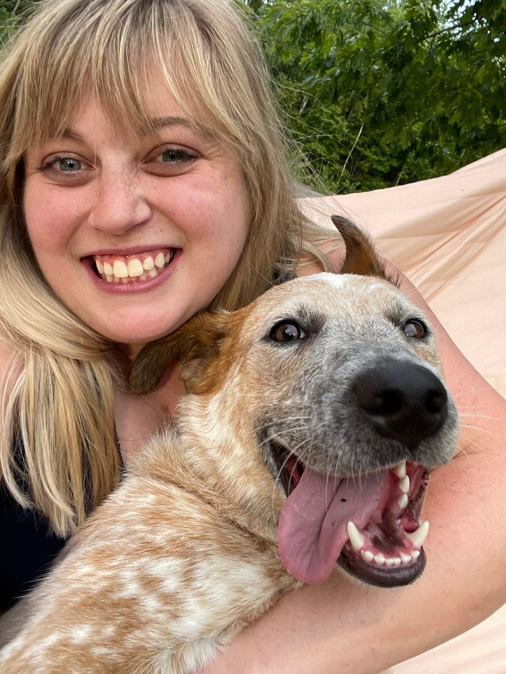 About the Melinda's Heart Heeler Fundraiser campaign on Bonfire 2