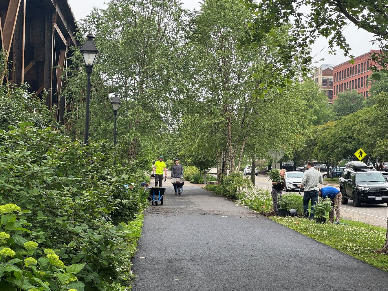 About the The Future Needs More Trees - Pink campaign on Bonfire 2