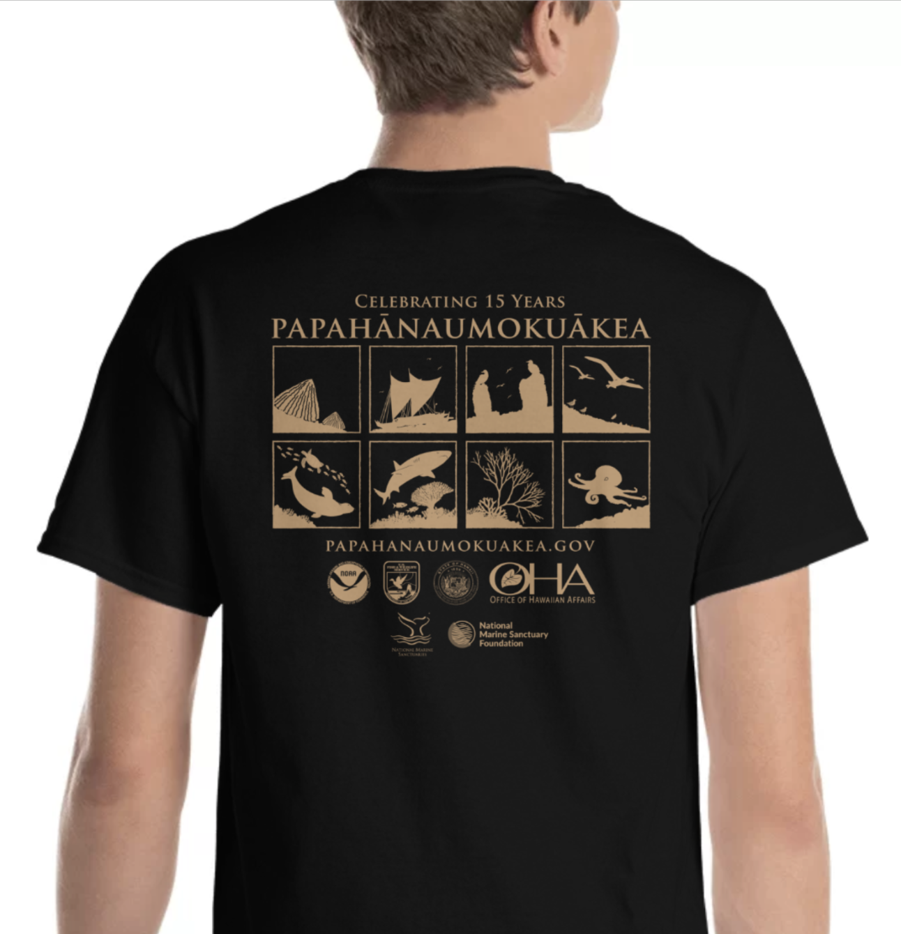About the Papah?naumoku?kea 15th Anniversary campaign on Bonfire 2