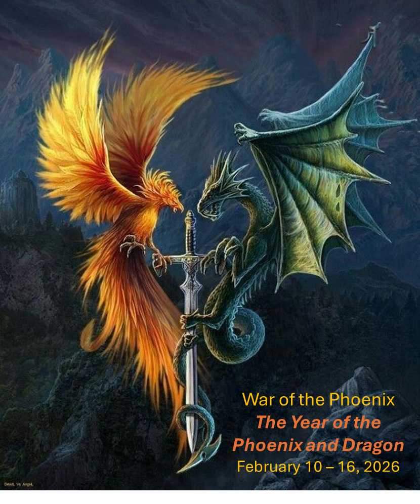 About the War of the Phoenix T-Shirt campaign on Bonfire 2