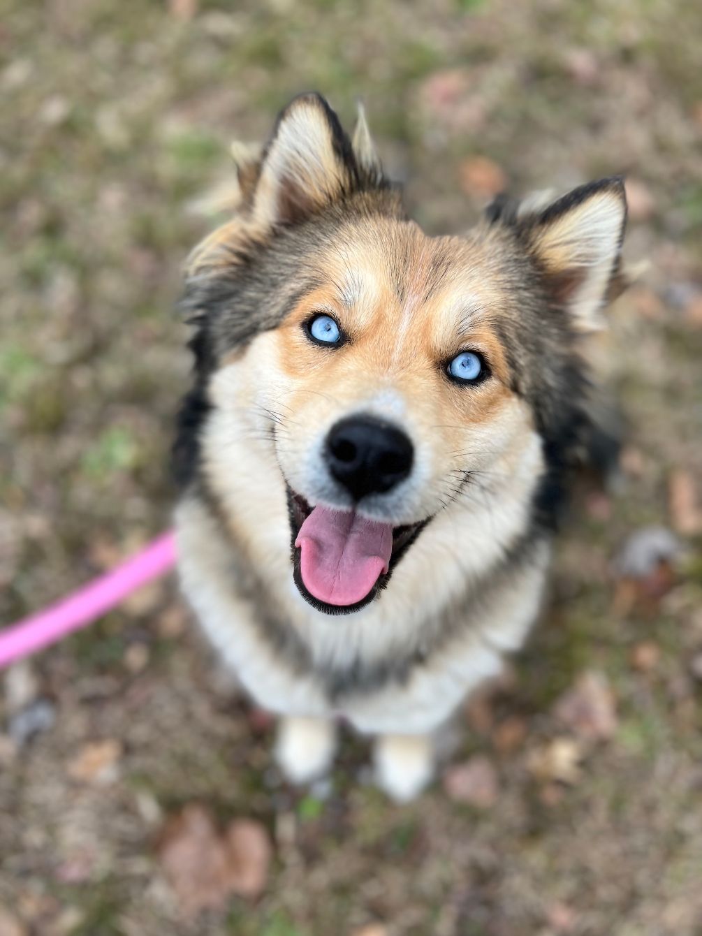 About the Together We Save Lives Pink campaign on Bonfire 2