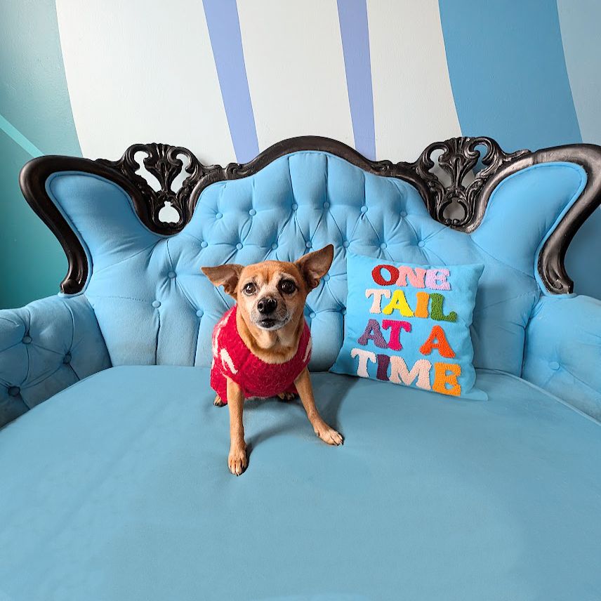 About the Don't Forget to Bite Bigots campaign on Bonfire 2