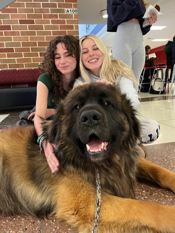 About the Roxy Cinch Bag campaign on Bonfire 2