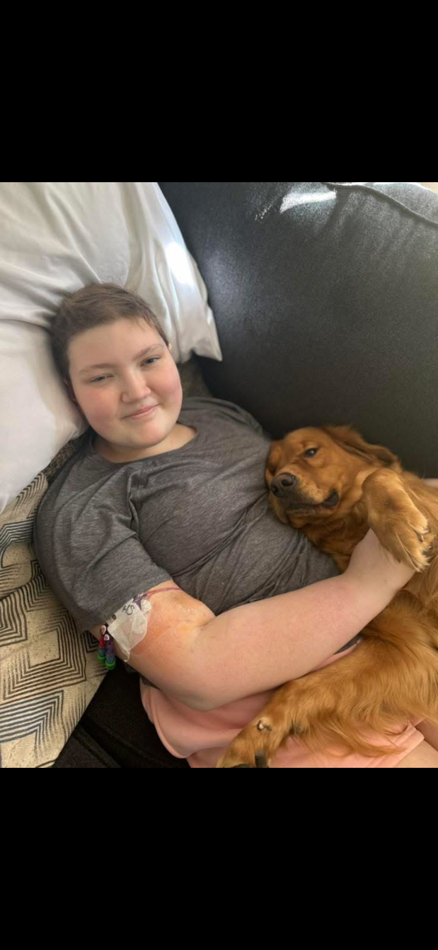 About the Abby?s Army&nbsp; campaign on Bonfire 2