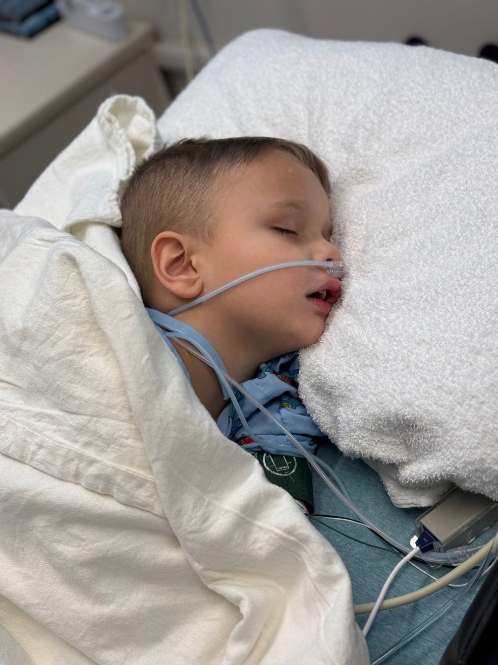 About the Help get Aslan managed care!&nbsp; campaign on Bonfire 4