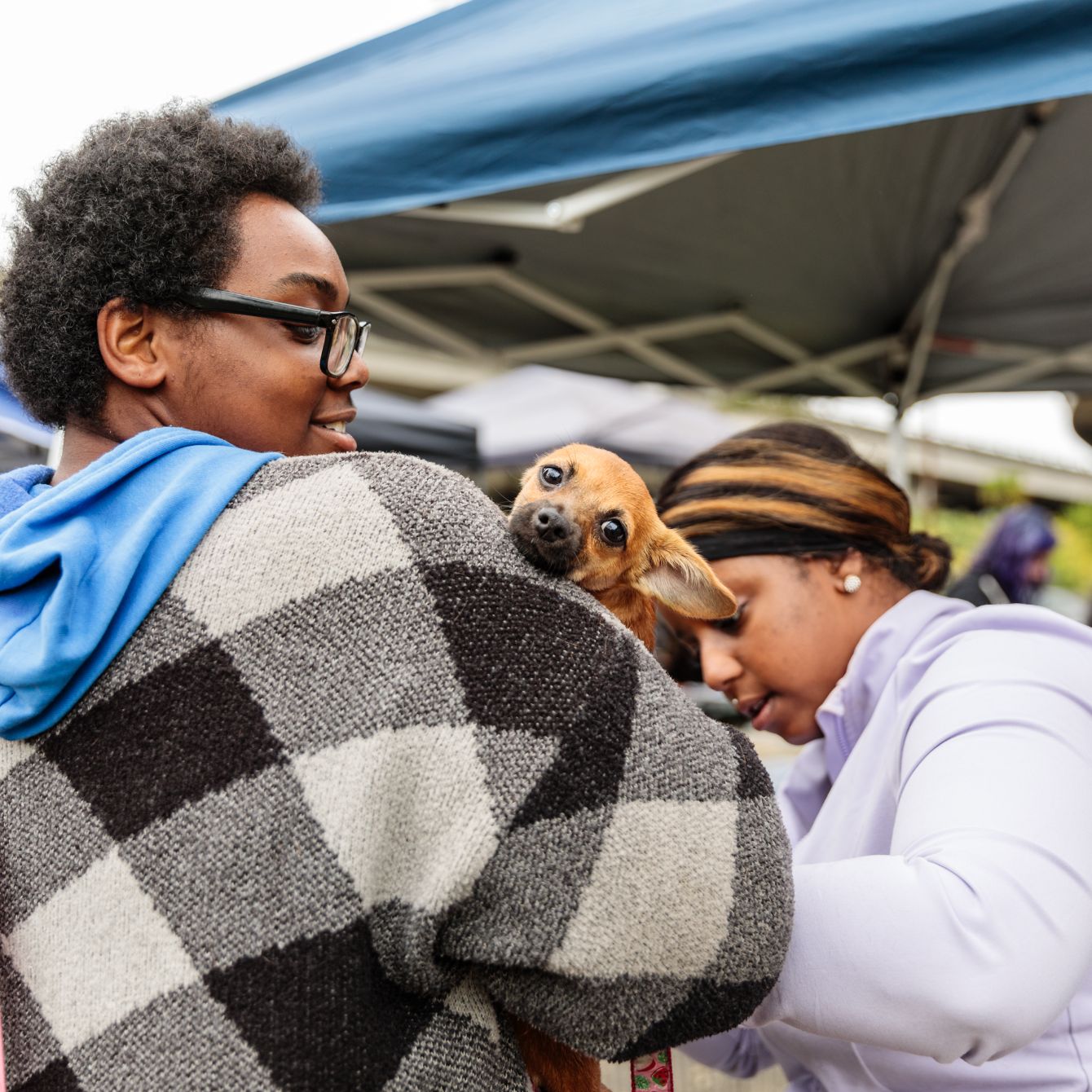 About the perfect all-american bitch campaign on Bonfire 2