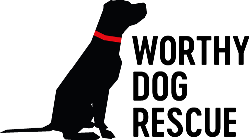 About the Worthy Dog Rescue Fall Fundraiser campaign on Bonfire 2