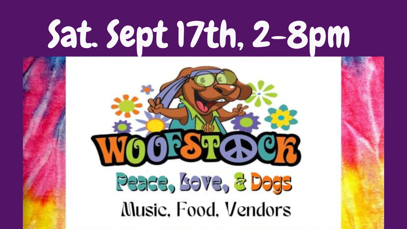 About the WoofStock 2022 campaign on Bonfire 2