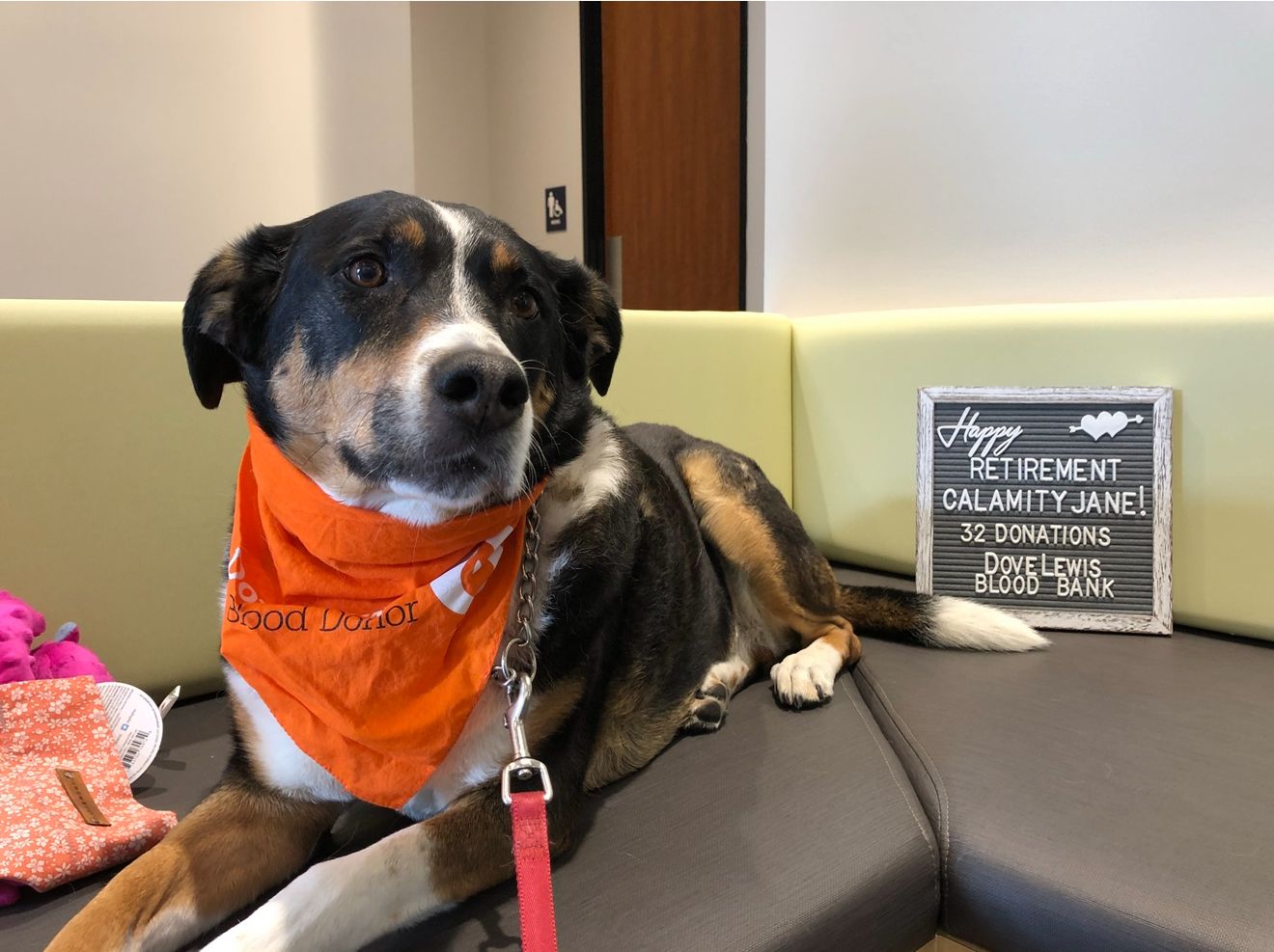 About the 2026 Puppy Love Donation Drive campaign on Bonfire 6