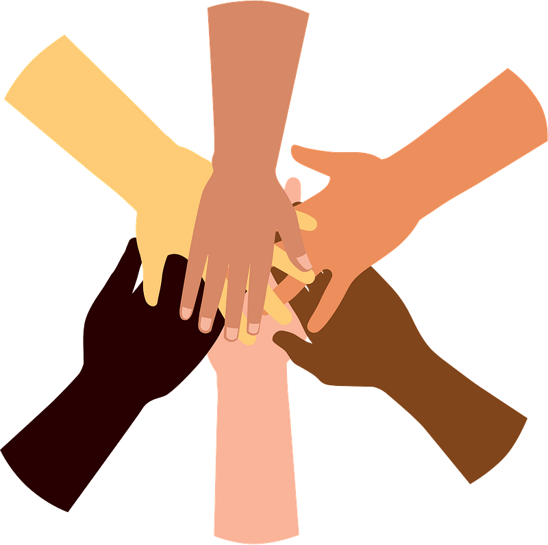 About the  campaign on Bonfire 2