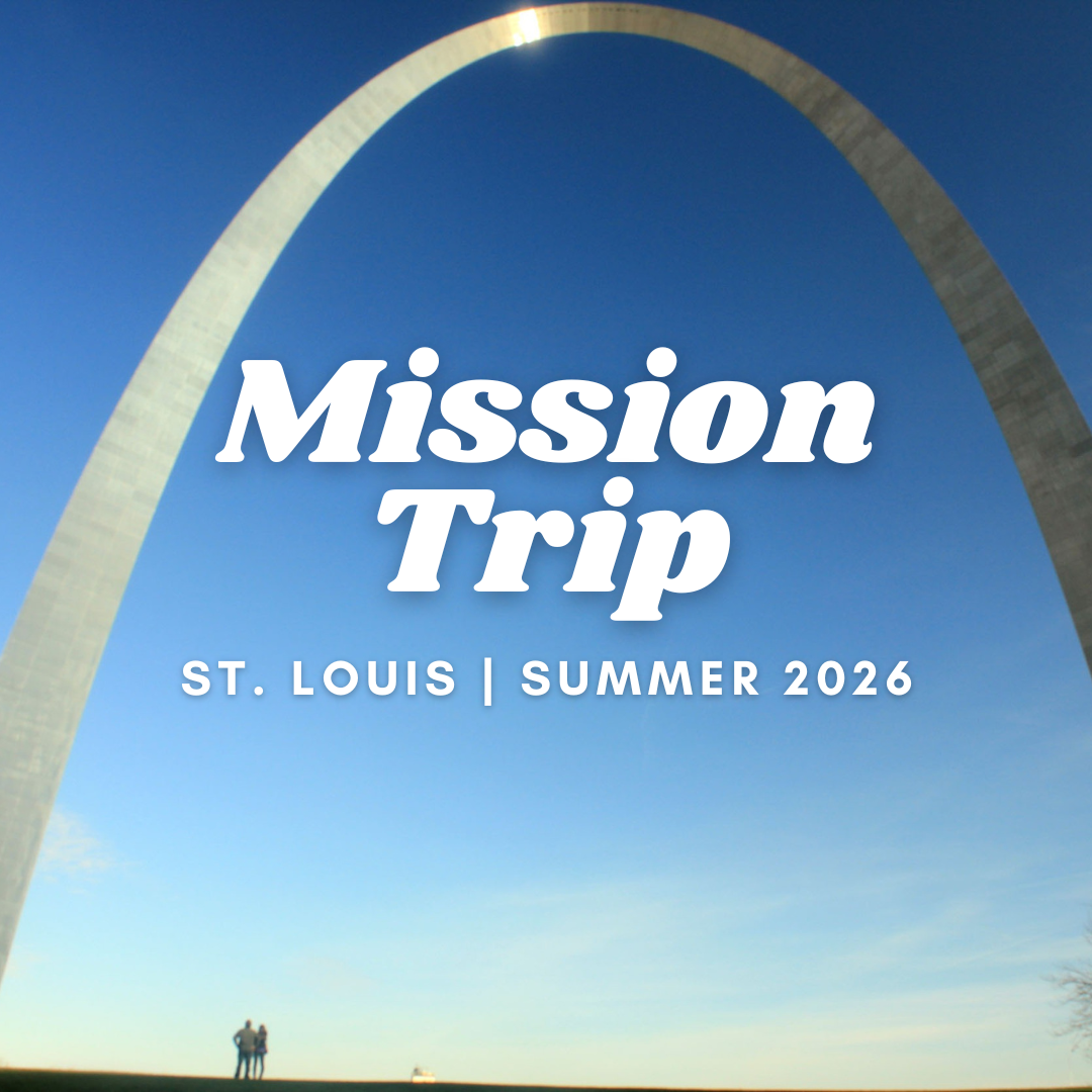 About the  campaign on Bonfire 2