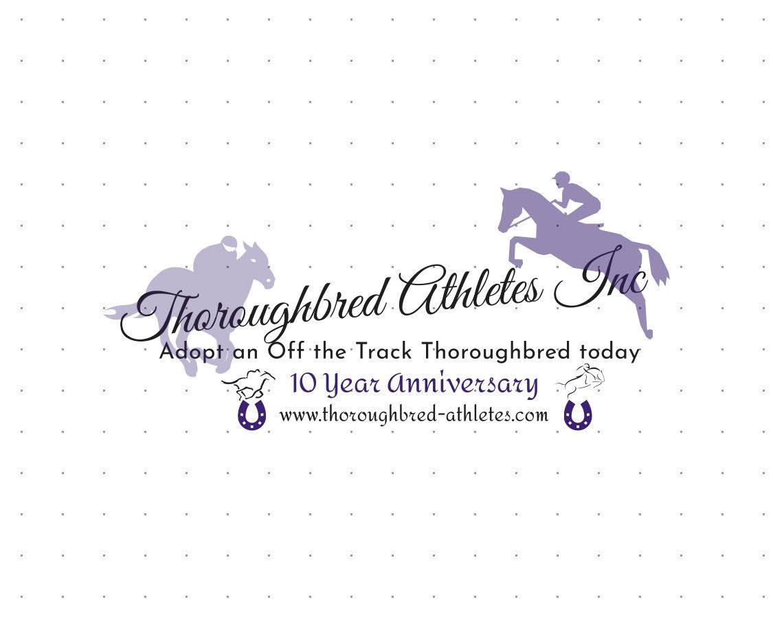 About the Special 10 Year Anniversary Products campaign on Bonfire 2