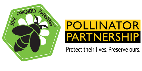 About the Bee Friendly Farming T-Shirt campaign on Bonfire 2