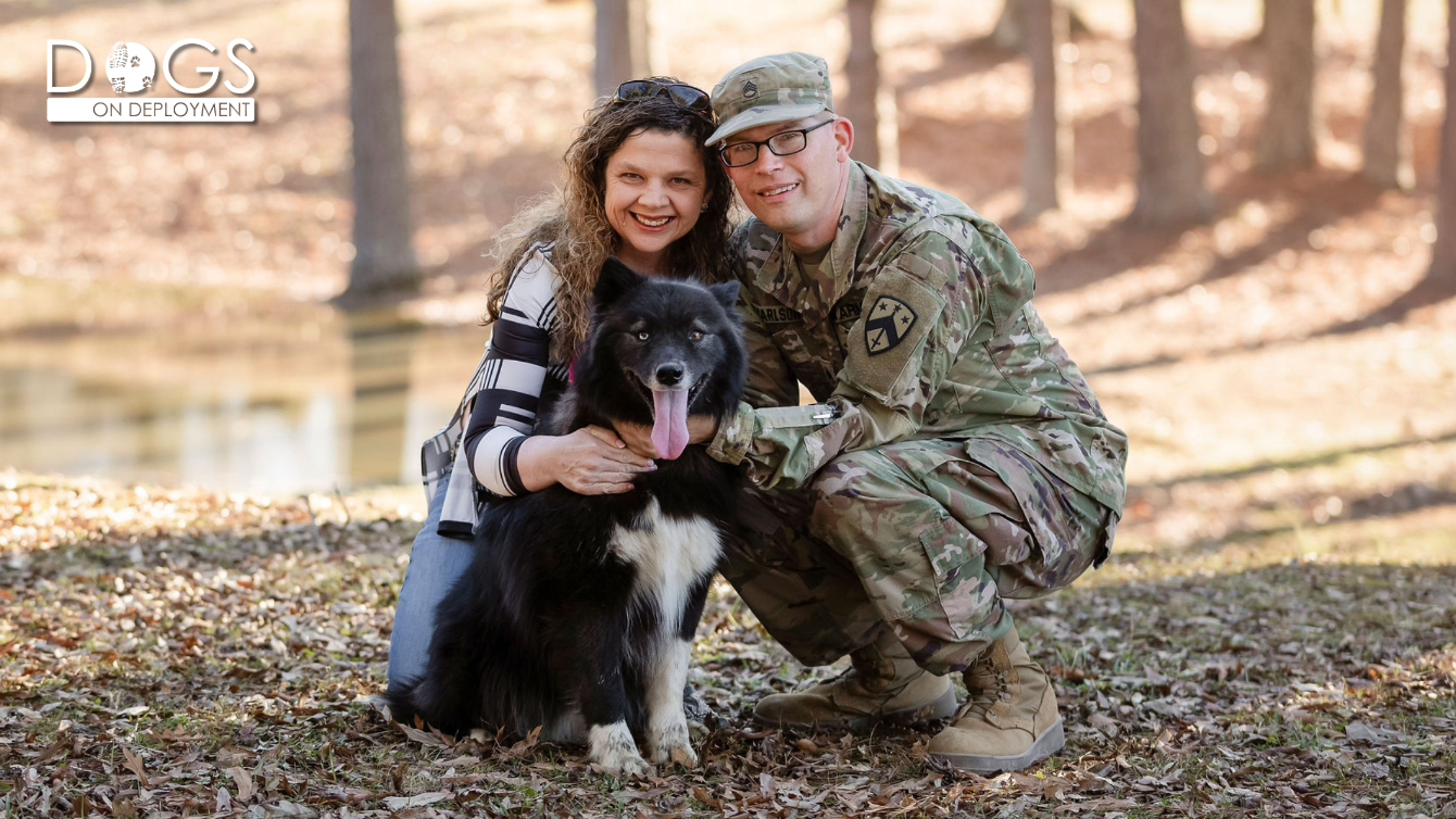 About the Dogs on Deployment Bandanas (White Logo) campaign on Bonfire 4