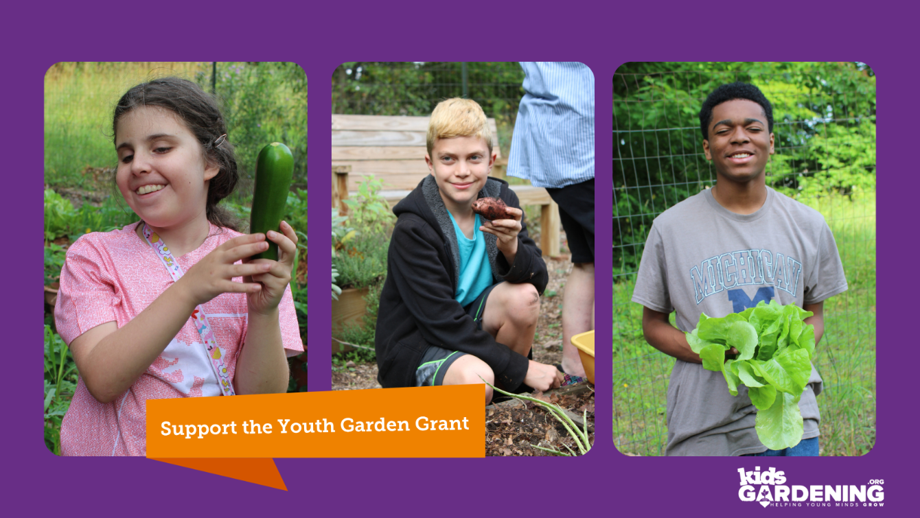 About the Gardening is Joy! Youth Garden Grant 2027 campaign on Bonfire 2