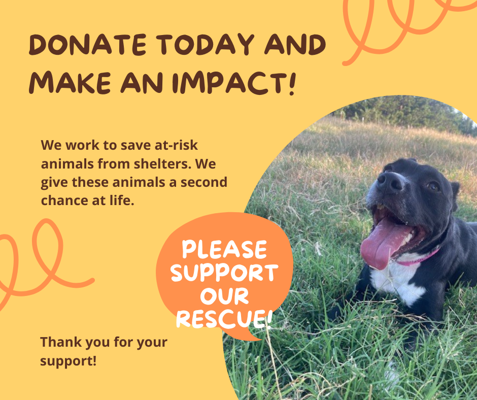 About the  campaign on Bonfire 2