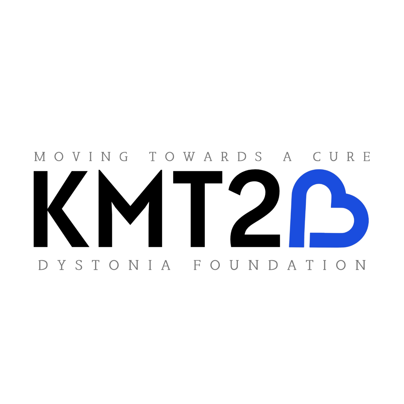 About the  campaign on Bonfire 2