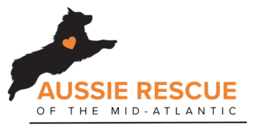 About the Aussie Rescue of the Mid-Atlantic campaign on Bonfire 2