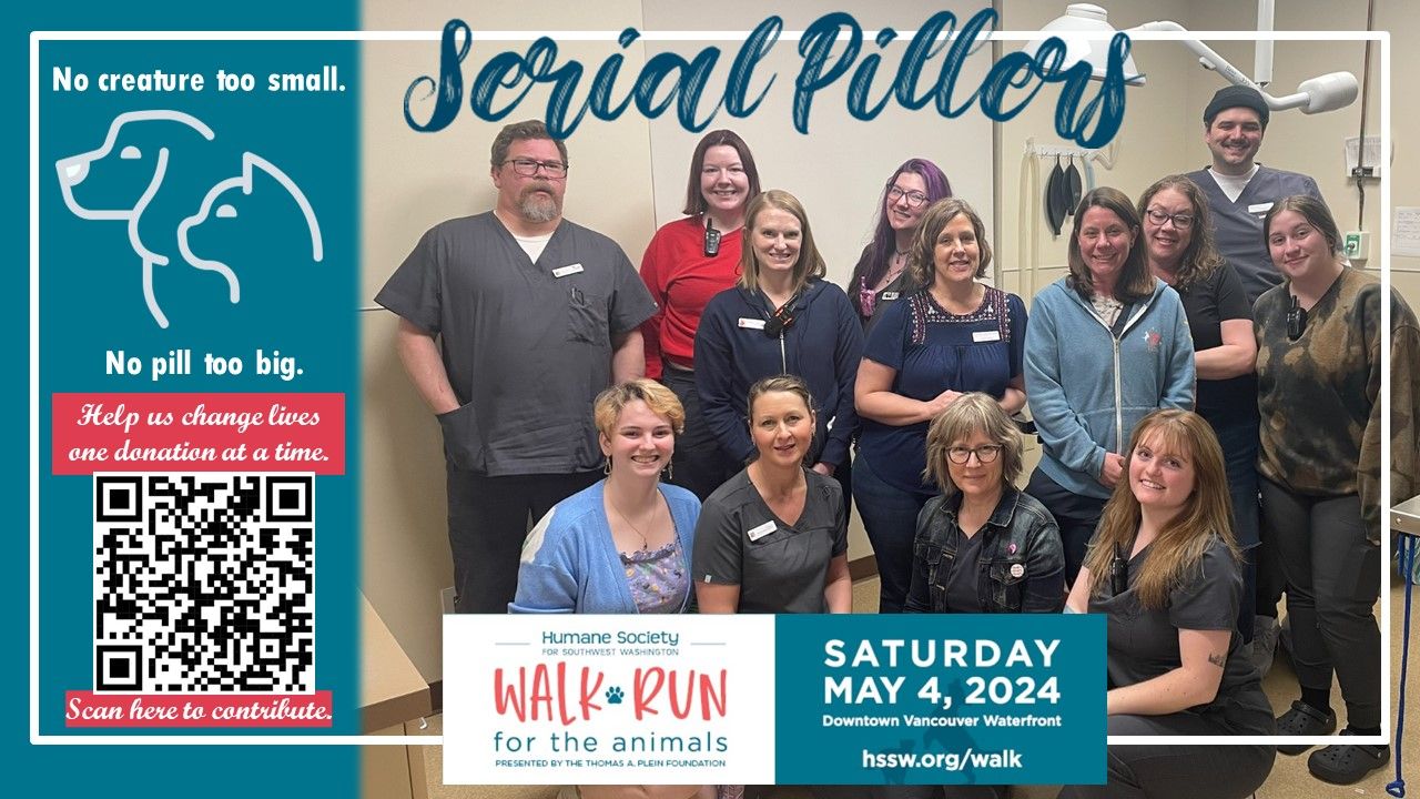 About the Go Serial Pillers! campaign on Bonfire 2