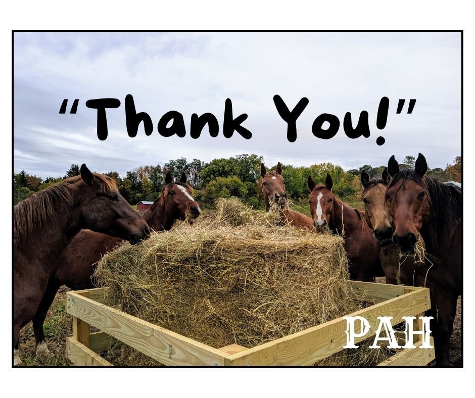 About the Peaceful Acres Horses Equine Rescue Sanctuary campaign on Bonfire 2