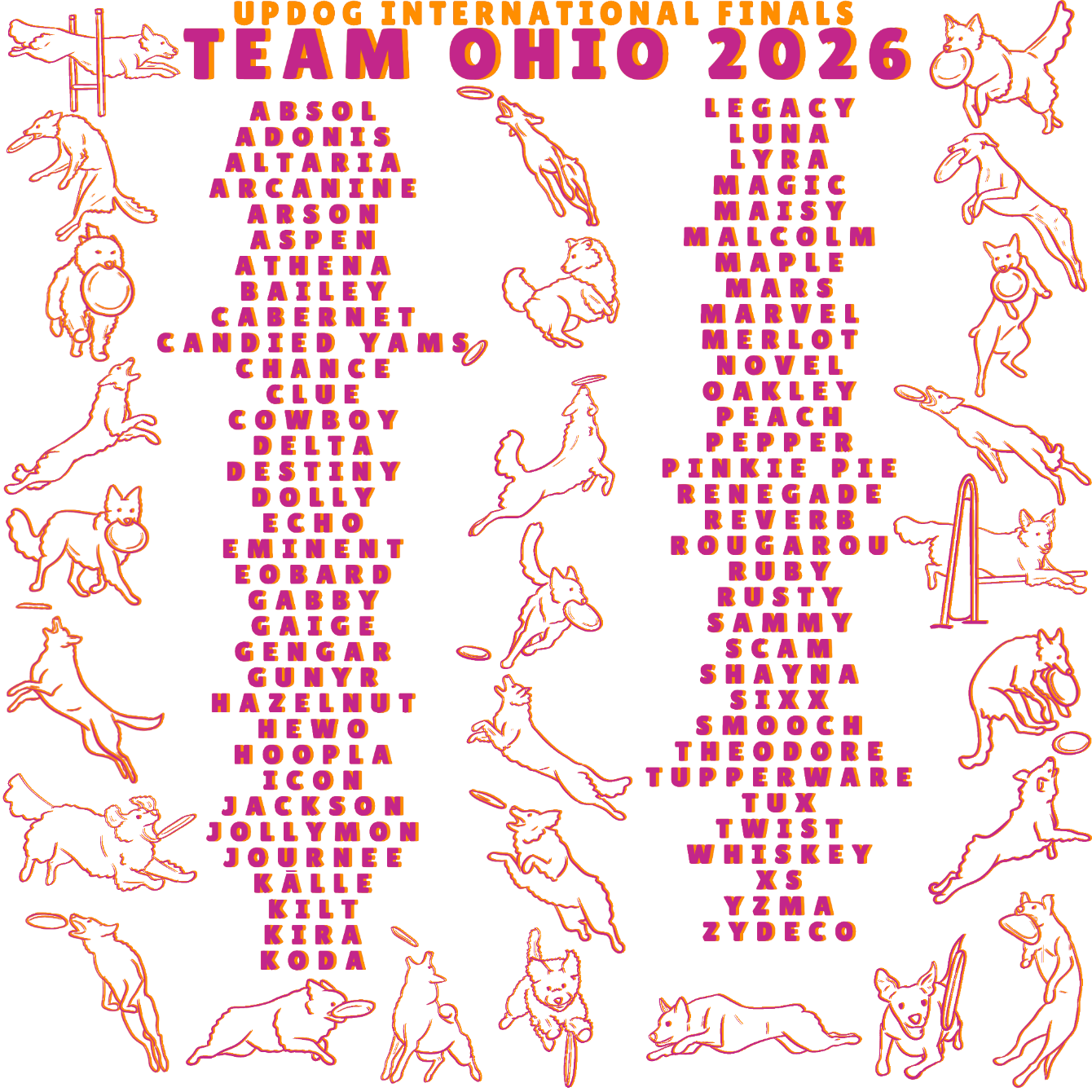 About the Team Ohio UPDIF 2026 PINK campaign on Bonfire 2