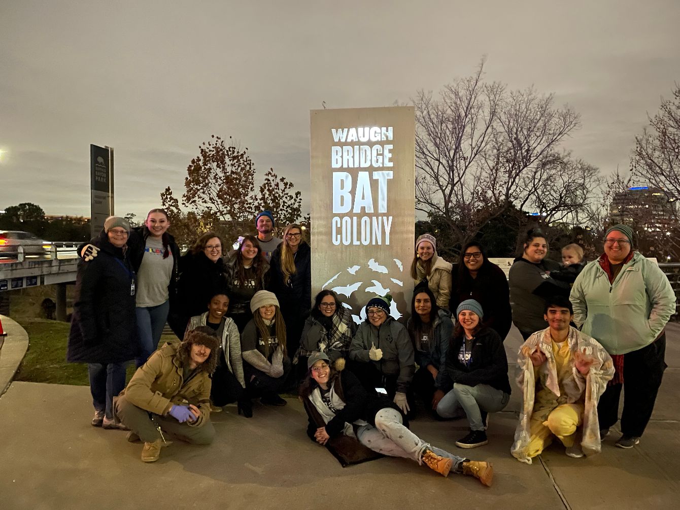 About the Save The Bats campaign on Bonfire 2