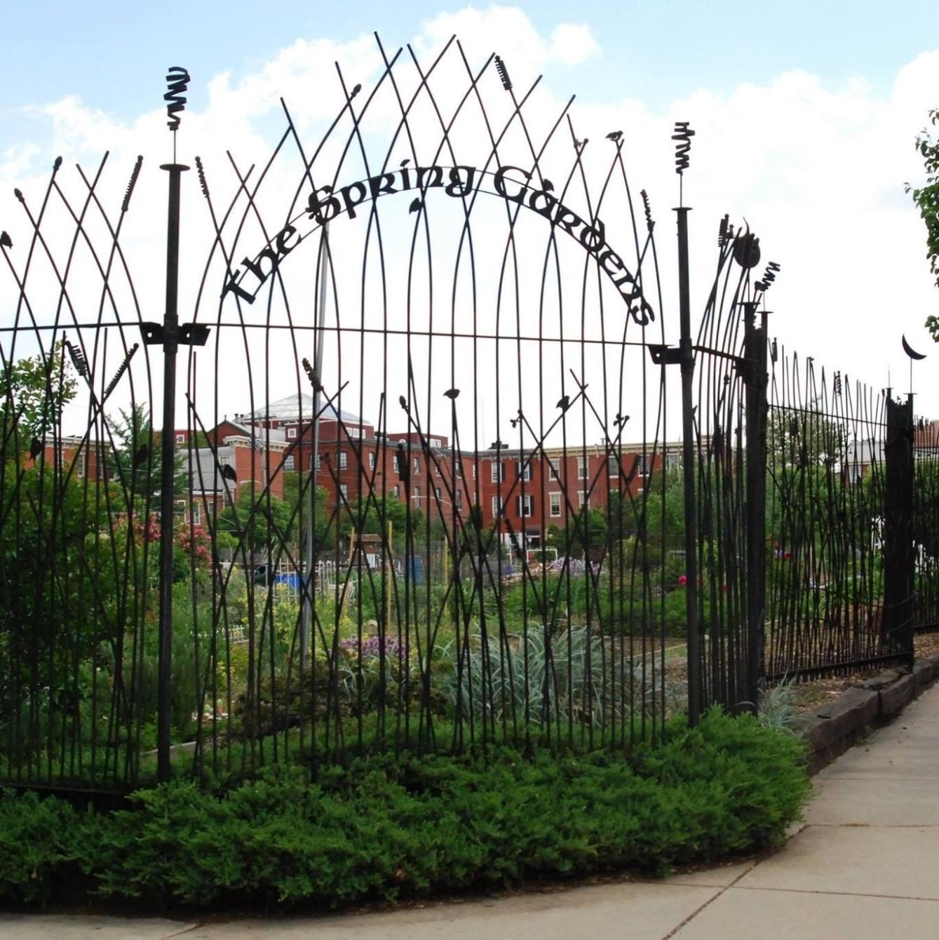 About the TSG Let's Grow Together campaign on Bonfire 2