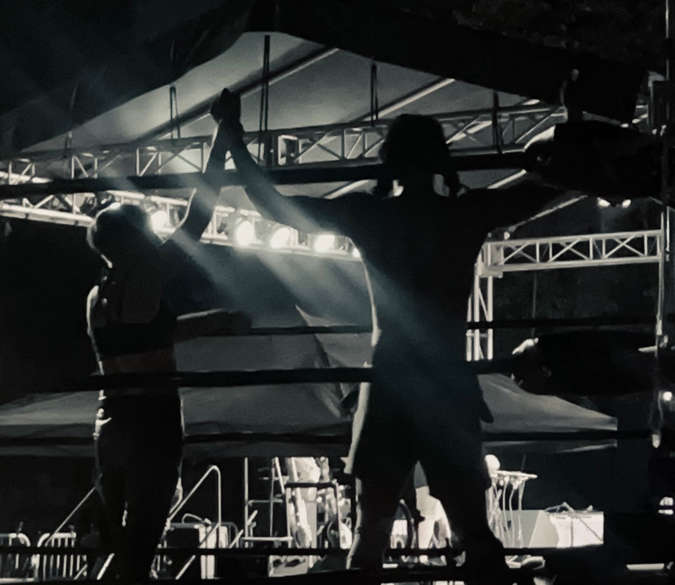 About the  campaign on Bonfire 12