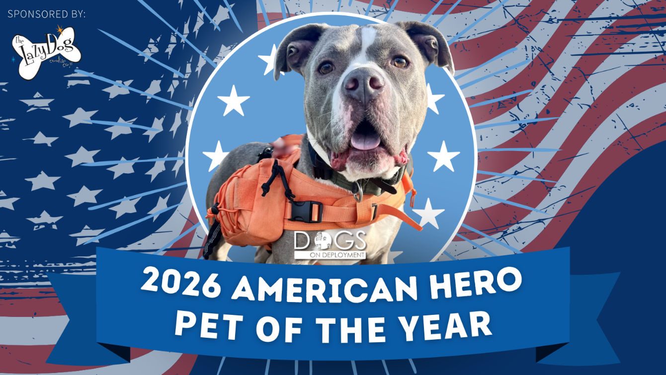 About the Dogs on Deployment 2026 Mascot Fundraiser campaign on Bonfire 2