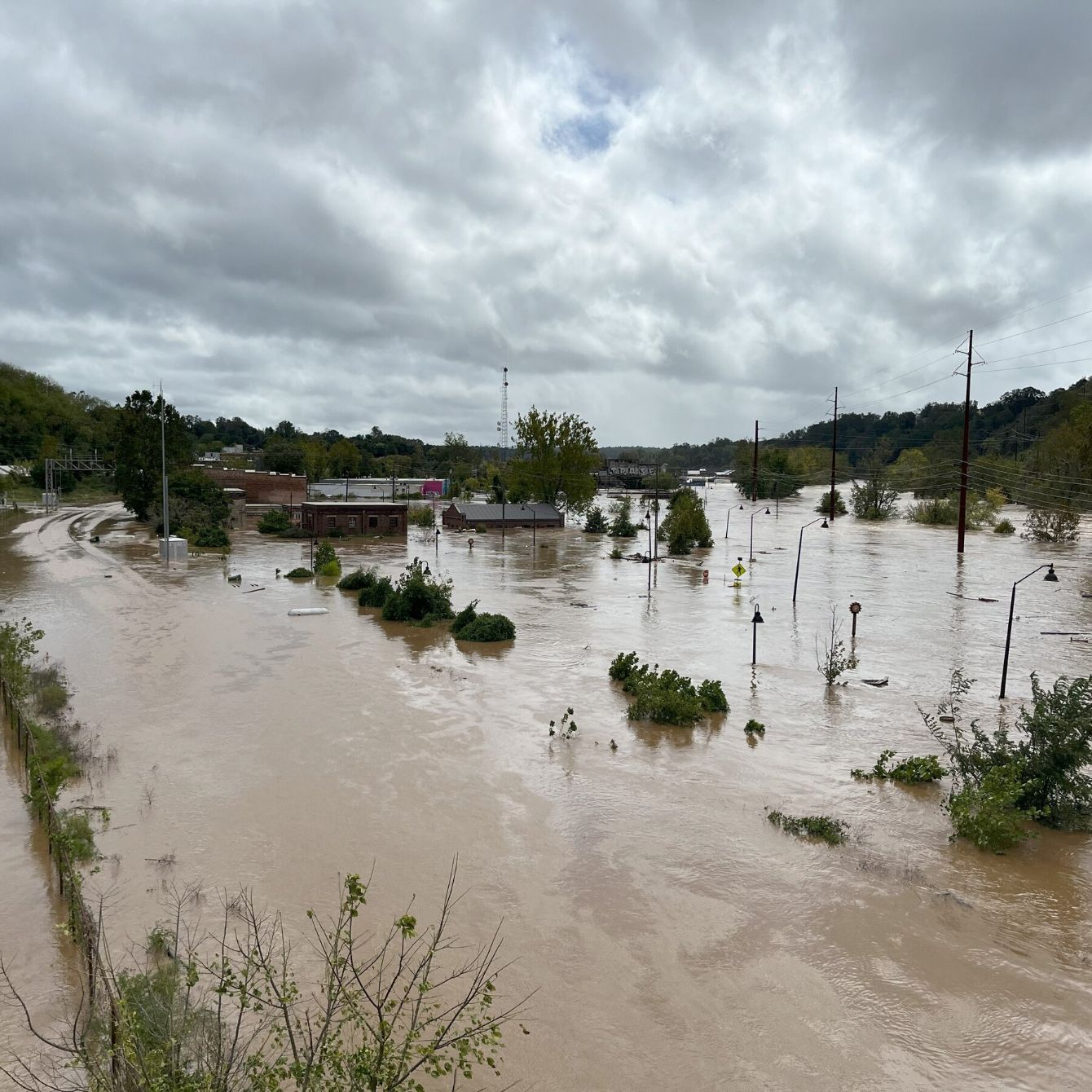 About the Morbidly Curious ?? WNC Fundraiser campaign on Bonfire 2