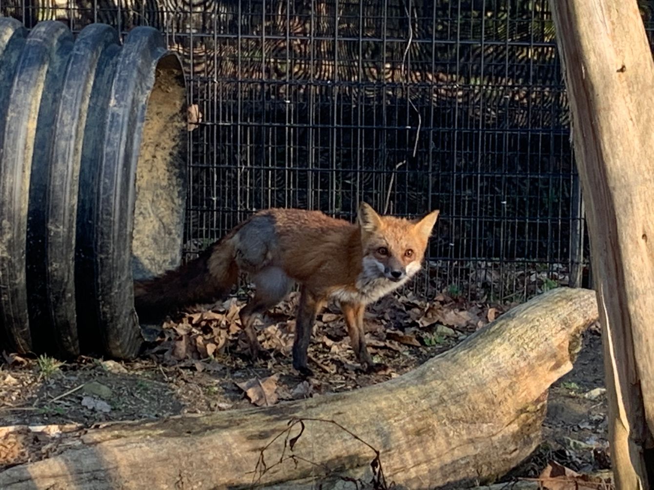 About the Raising Funds to Raise Roofs! campaign on Bonfire 2