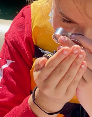 About the  campaign on Bonfire 3