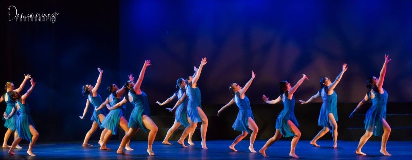 About the Young Adult Ensemble campaign on Bonfire 2