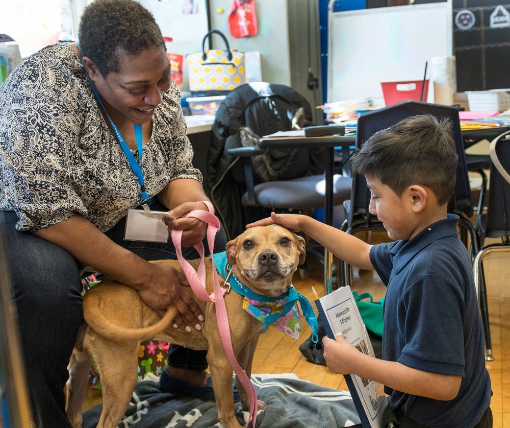 About the SitStayRead B&W Shirts campaign on Bonfire 2