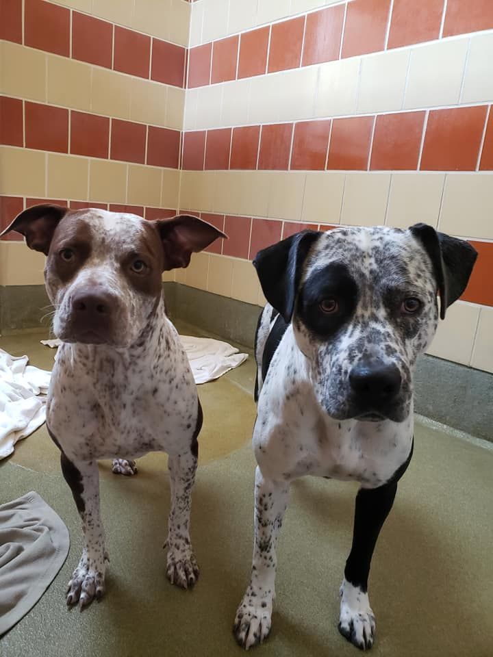 About the You Can't Buy Love... campaign on Bonfire 5