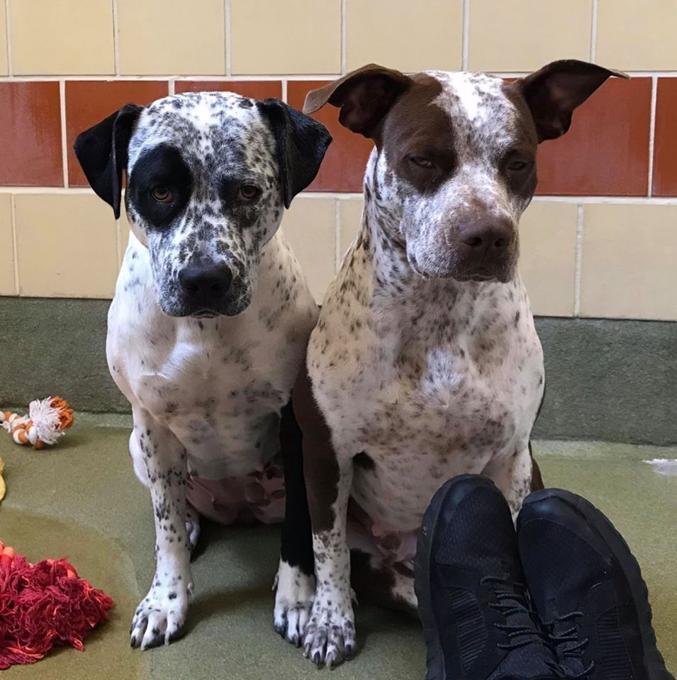 About the You Can't Buy Love... campaign on Bonfire 4