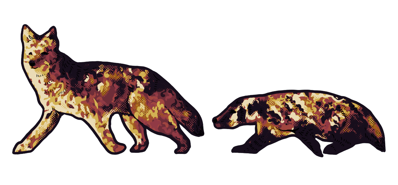 About the Badger and Coyote Bucket Hat campaign on Bonfire 3