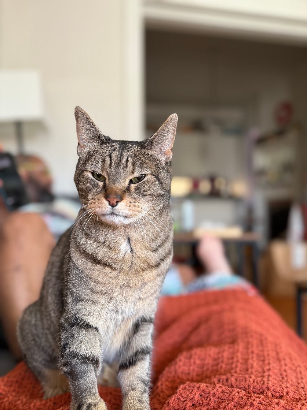 About the Princess Pizza Fan Club campaign on Bonfire 2