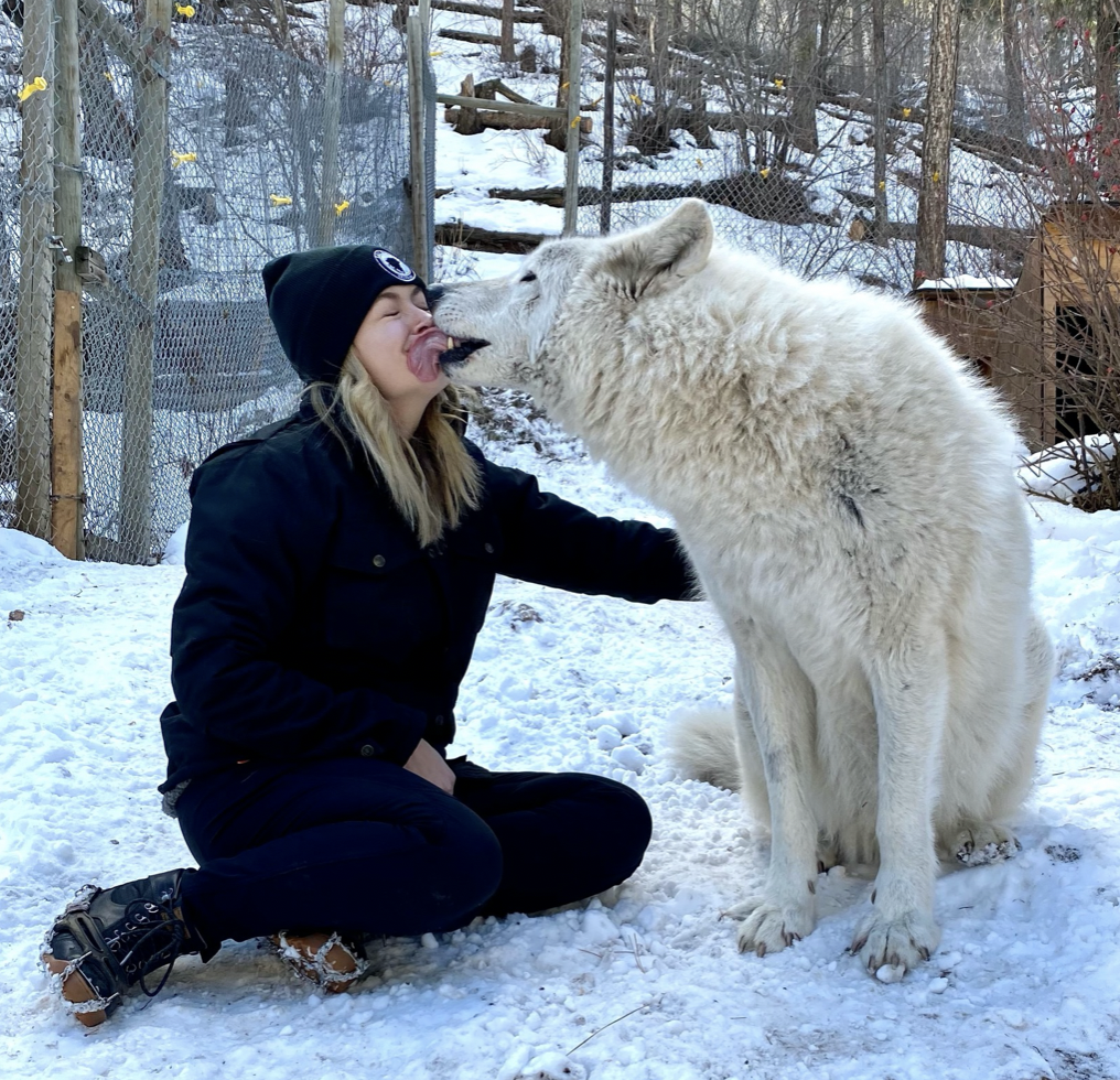 About the Dance With Wolves campaign on Bonfire 2