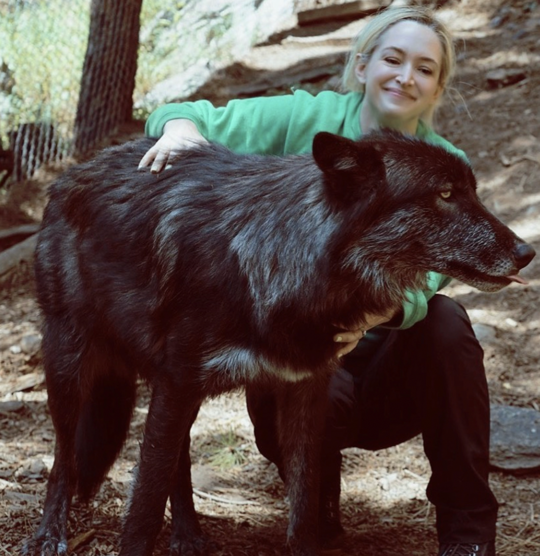 About the Dance With Wolves campaign on Bonfire 3