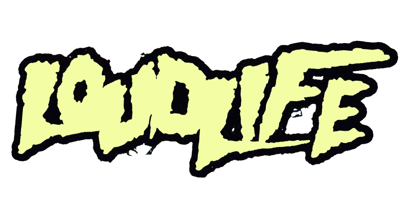 About the  campaign on Bonfire 2