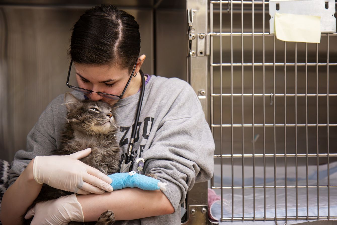 About the  campaign on Bonfire 2