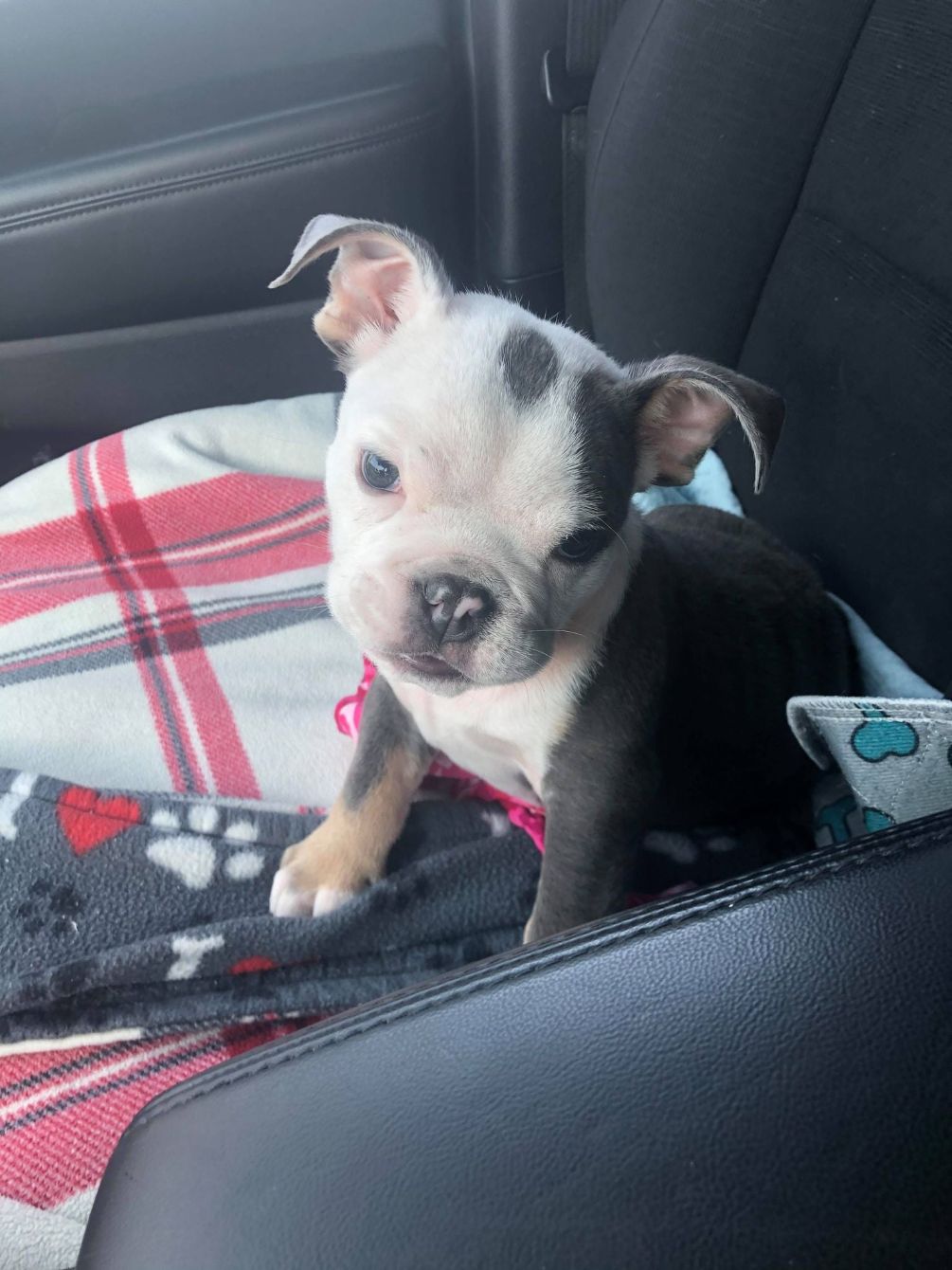 About the 2020 Holiday Campaign campaign on Bonfire 1