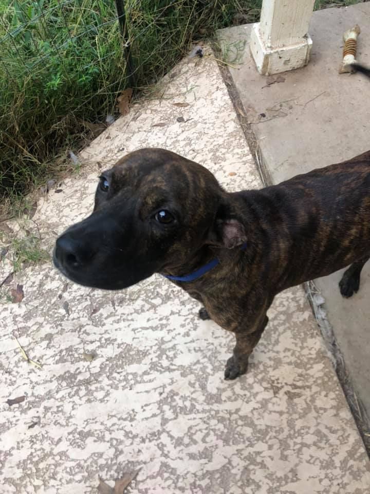 About the 2020 Holiday Campaign campaign on Bonfire 4