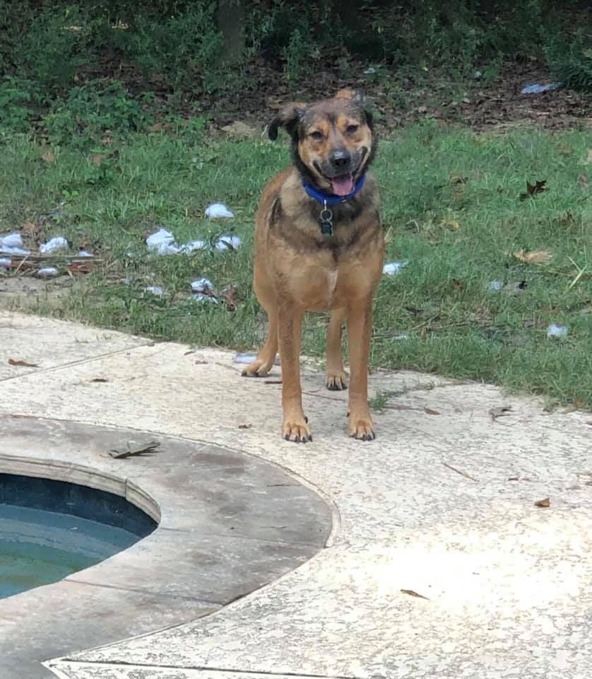 About the 2020 Holiday Campaign campaign on Bonfire 6