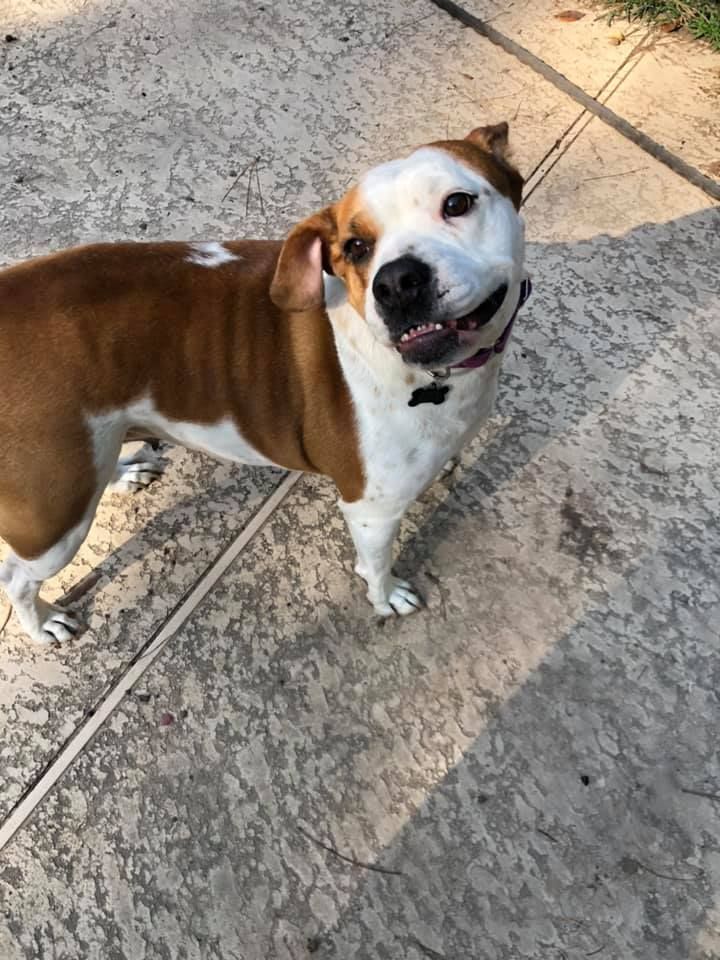 About the 2020 Holiday Campaign campaign on Bonfire 8