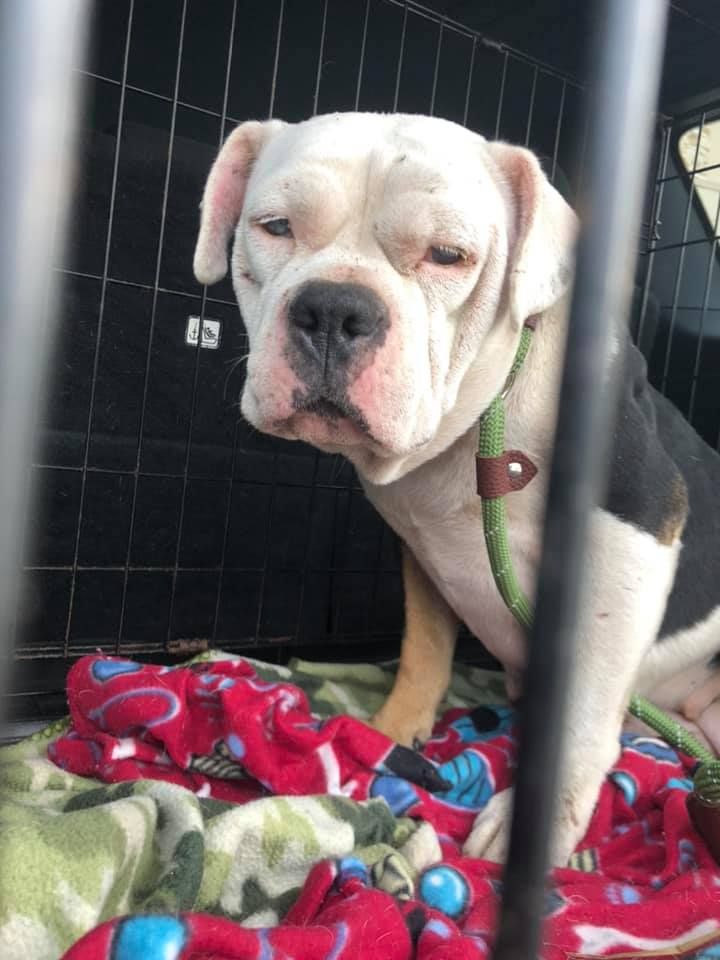 About the 2020 Holiday Campaign campaign on Bonfire 10